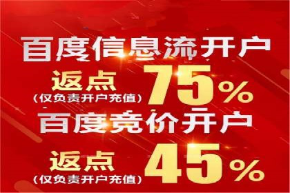 百度竞价代运营成功案例解析